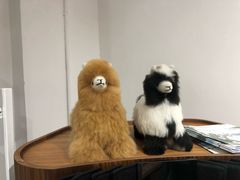 -DK45丹麦家居生活馆·依诺维绅(798店)