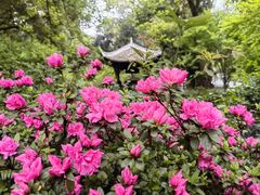 -成都杜甫草堂博物馆