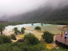 -黄龙山原始森林景区