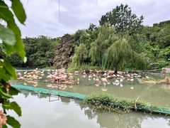 -宁波野生动物园