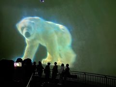 -烟台海昌鲸鲨海洋公园