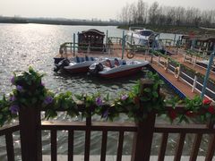 iphone_upload_pic-荷兰花海