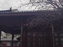 -堤角公园