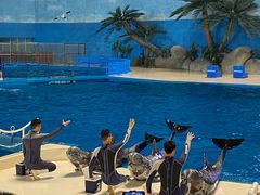 -泉城欧乐堡海洋极地世界