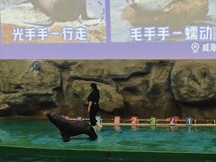 -威海华夏城景区