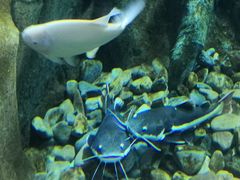 -波塞冬旅游度假区