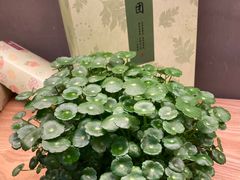 -泸溪河桃酥(江宁太阳城店)