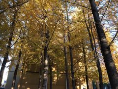 -辽宁大学(崇山校区)