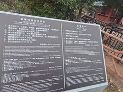 -千岛湖石林