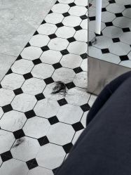 -范美特接发·染发漂发