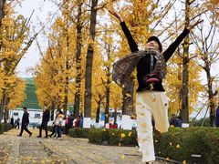 -百林公园-两江幸福广场