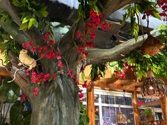 -草原塞蛮羊火锅城(港湾店)