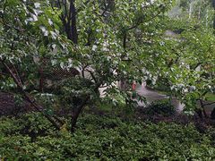 -杭州西湖柳莺里酒店·闻莺厅