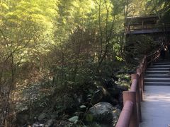 -藏龙百瀑风景区