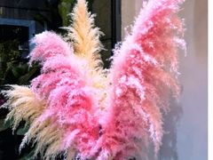 -花十悦·鲜花咖啡餐厅(振业城一期店)