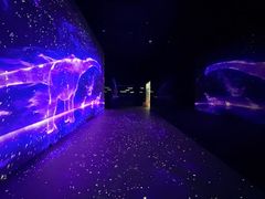 -天津自然博物馆