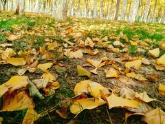 -艾溪湖湿地公园