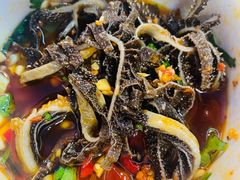 -金鼎雪山牦牛杂火锅(理县总店)