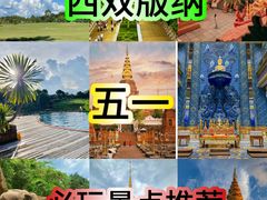-野象谷景区