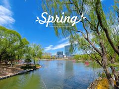 -大兴滨河森林公园