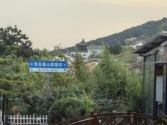-蘇河湾·新鲁菜·泰山宴(泰山店)