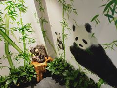 -疯狂的筷子老灶九宫格火锅