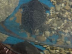 -苏州海洋馆