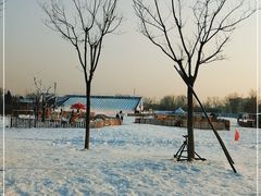 -绿野森林乐园冰雪季