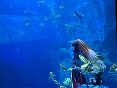 -太平洋海底世界