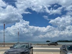 -巽寮湾海鲜批发码头