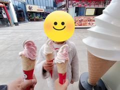 -蜜雪冰城(浙江大学店)