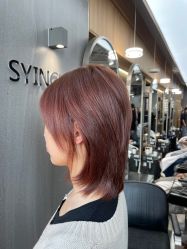-SY COLOUR专业烫染