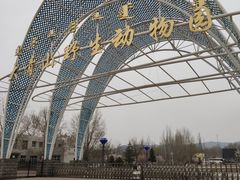 -大青山野生动物园