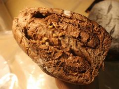 阿华田牛乳可可欧包-七叔是岛民(花基新村店)