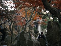 -SPA·印象足道养生(大运河度假区四望亭店)