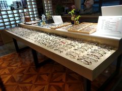 -A380视光·蔡司眼镜店(锦艺城店)