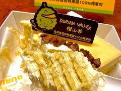 -友谊阳光城
