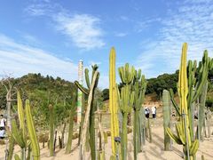 -东莞植物园
