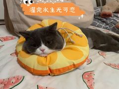 -北京赛佳动物医院