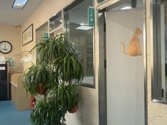 -东日国际动物医院·CT·心脏专科(桃源分院)
