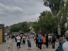 -塔尔寺游客服务中心