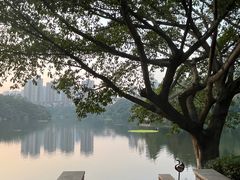 -重庆彩云湖湿地公园