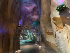 -杭州开元森泊度假乐园