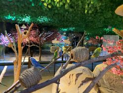 -酷嗒动物文化乐园(cutezoo西溪乐天城店)