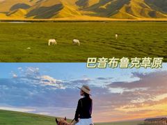 -布尔津河堤夜市