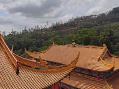 -东莞市大岭山森林公园