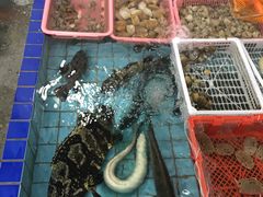 -霞涌市场海鲜摆卖区