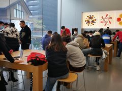 -Apple零售店(成都太古里店)