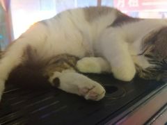 -质烤烤物·活烤海鲜(质烤总店)
