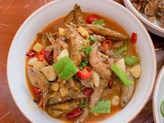 -龙小海荆沙鸽子店(瑞安街店)